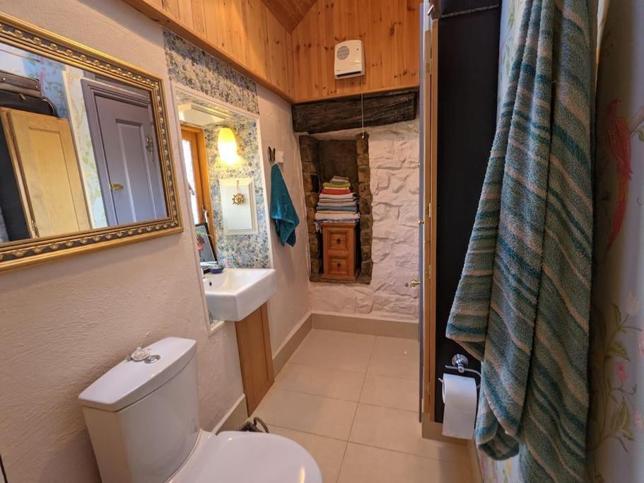 Secluded Private Cottage Hot-Tub, Sauna & Fire-Pit Carrick on Shannon المظهر الخارجي الصورة