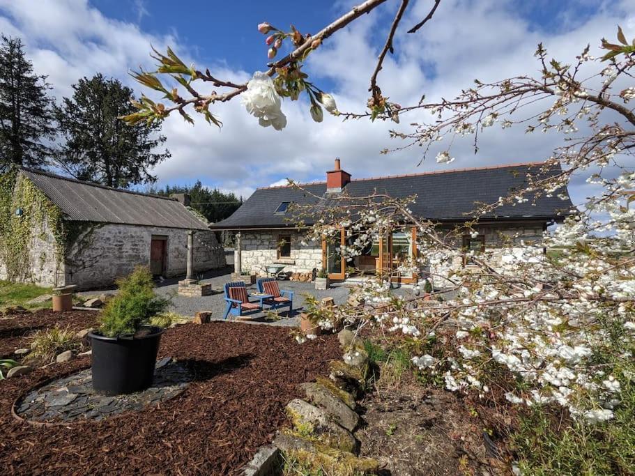 Secluded Private Cottage Hot-Tub, Sauna & Fire-Pit Carrick on Shannon المظهر الخارجي الصورة