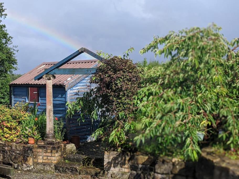 Secluded Private Cottage Hot-Tub, Sauna & Fire-Pit Carrick on Shannon المظهر الخارجي الصورة